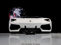 1:8 Robert Gülpen Lamborghini Aventador LP700-4 2011 Carbon Fiber. Uploaded by DaVinci